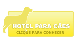 Conhea o nosso Hotel para Ces